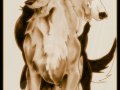 Balto_and_Steele_2.jpg
